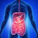 what-effects-does-long-covid-have-on-the-stomach?