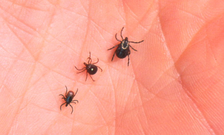 tick-borne-allergies-to-red-meat-only-ever-result-in-gastrointestinal-symptoms:-gunshots