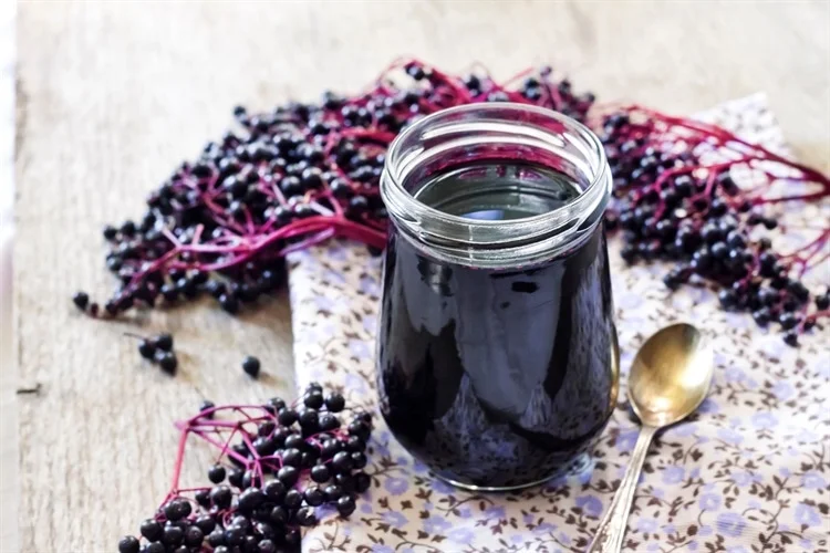 according-to-a-study,-drinking-elderberry-juice-by-obese-persons-causes-them-to-burn-more-carbohydrates