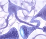 research-at-uq-might-result-in-effective-motor-neuron-disease-treatments