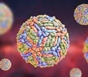 researchers-find-broad-spectrum-antiviral-substances-that-can-attack-several-rna-virus-families