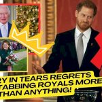 Harry Devastated After Surprise Cold Christmas Present From Royals Ends All Return Hope For Duke