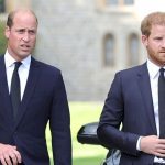 Reunion on the Horizon for Princes Harry and William
