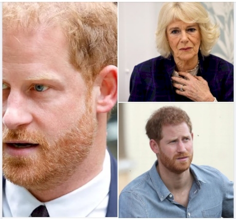 Queen Camilla ‘outraged’ after Prince Harry’s visit to see his father for “loving son PR stunt”, claims source
