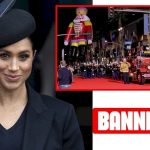 Meghan Markle Banned from Hollywood Christmas Parade