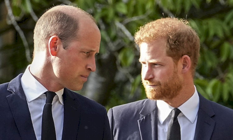 **Prince Harry Ventures Into New Netflix Documentary Without Meghan: A Shift in Their Royal Partnership**