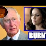 Royal Drama Unfolds: Meghan Markle’s Unexpected Request to King Charles
