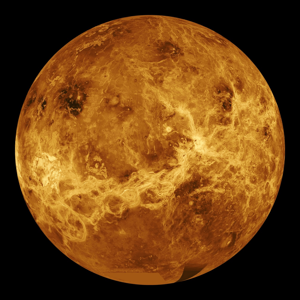 Venus looks like this, by the way