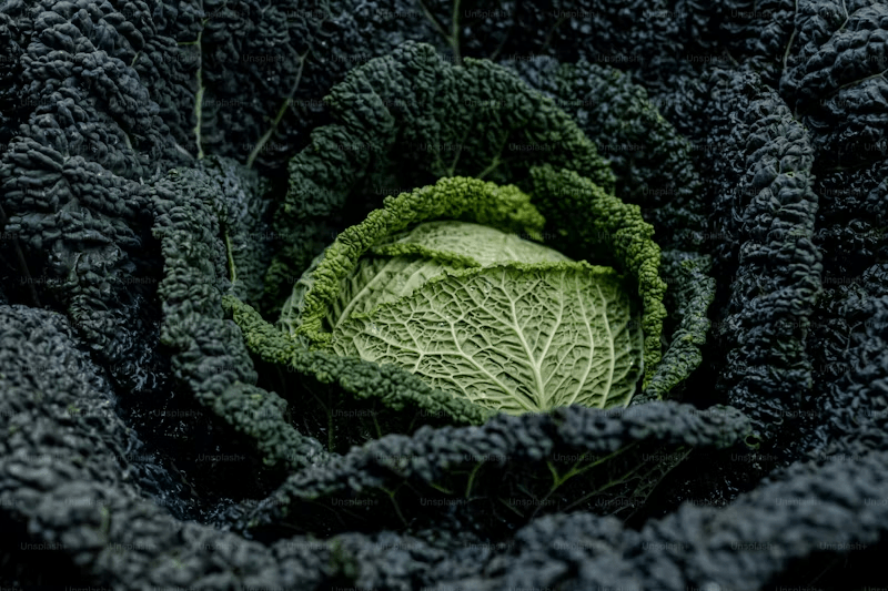 Leafy greens getting darker