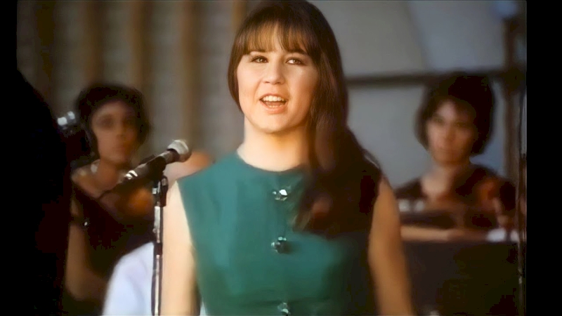 Georgy Girl: How The Seekers Captivated the World