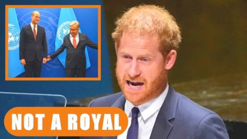 UN General Assembly Turns Down Prince Harry, Backs Prince William Instead