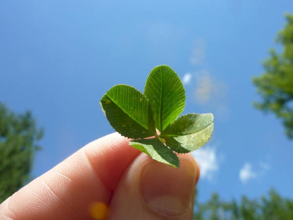 Are You Ready for Good Luck? Recognize the Signs the Universe is Sending You!