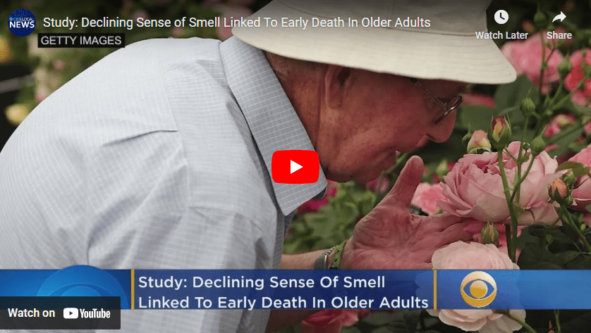 sense of smell youtube