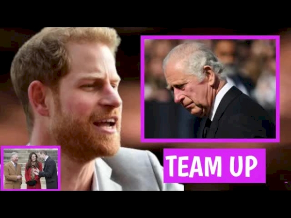 Prince Harry’s Frustration: A Royal Communication Breakdown