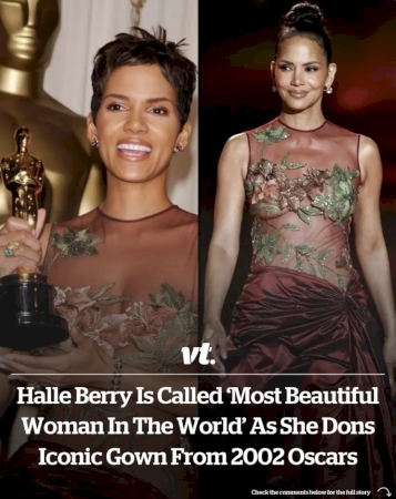 Halle Berry is called ‘most beautiful woman in the world’ as she dons iconic sheer gown from 2002 Oscars